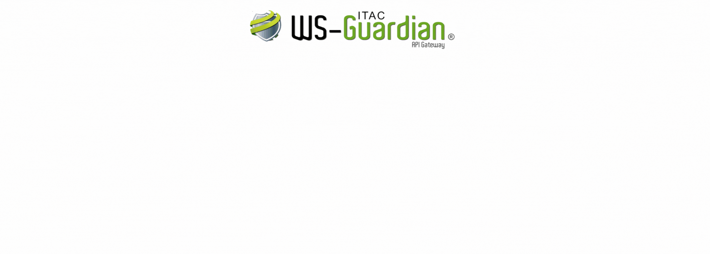 Características ITAC WS-GUARDIAN®